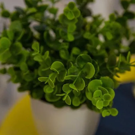 Santos Neighborhood Apartman Lisboa